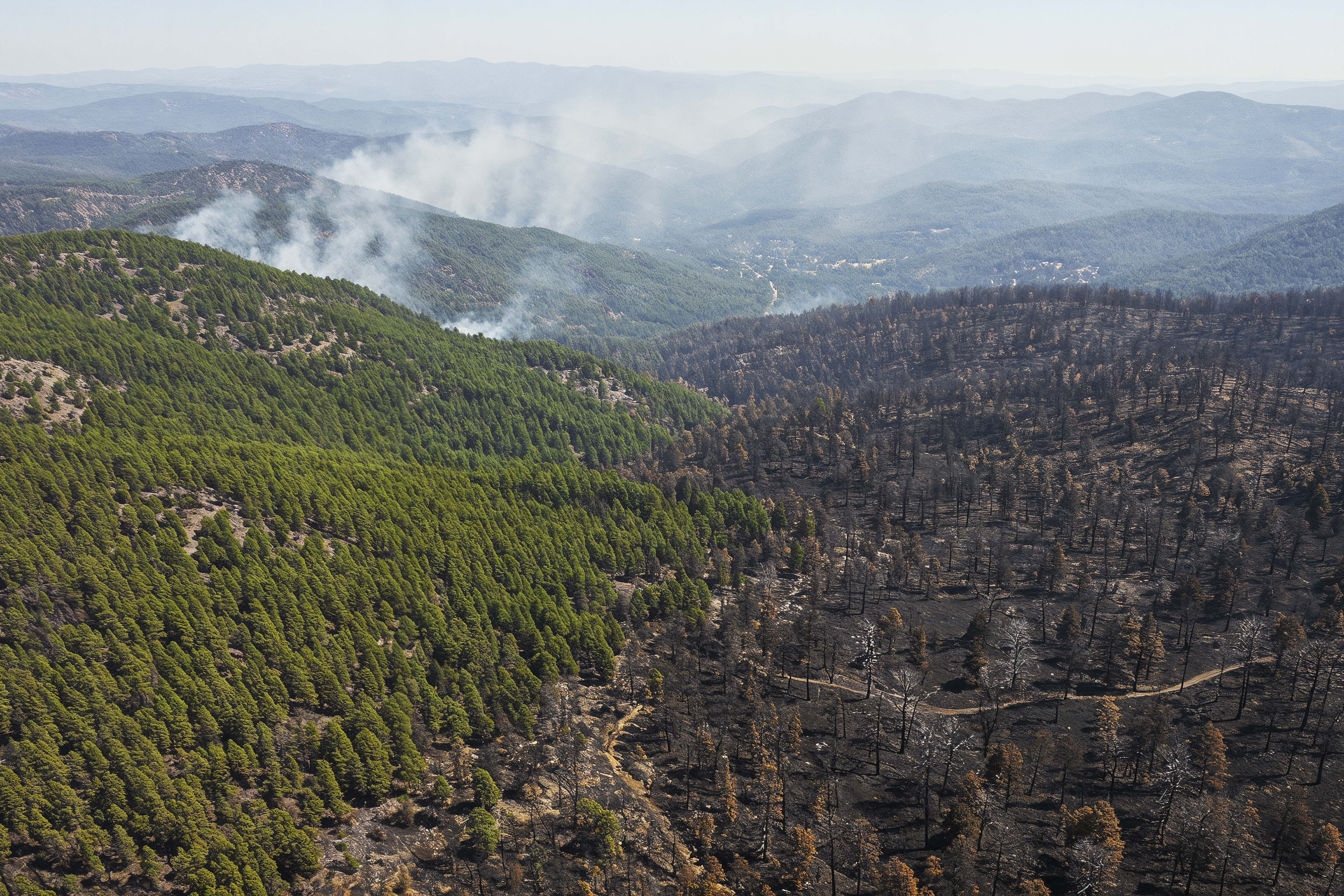 Evaluación de incendios forestales